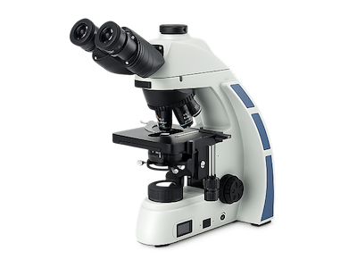 Microscope BF+PH with phase contrast